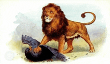 a painting of a lion petting a dead bird