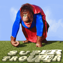 a monkey in a superman costume is crawling on a grassy field