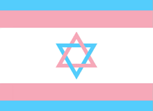 a transgender flag with a blue and pink star on it