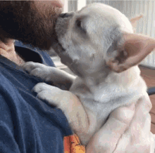 a man is holding a small white dog in his arms and the dog is kissing the man 's face .