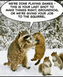 a raccoon and two squirrels in the snow with a speech bubble saying we 're done playing games