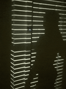 a black and white photo of a window with blinds on it