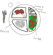 a drawing of a plate with grains carrots corn peas and a salad