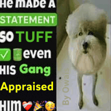a picture of a dog next to a sign that says he made a statement so tuff even his gang applauded him