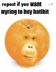 a picture of an orange with a monkey face and the words " repost if you want wyring to buy batlbit "