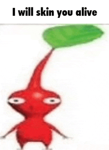 a red cartoon character with a green leaf on its head and the words `` i will skin you alive '' below it .