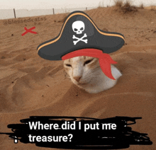 a cat wearing a pirate hat is buried in the sand and asking where did i put me treasure