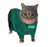 a cat is wearing a green jacket with the number 456 on the front