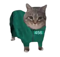 a cat is wearing a green jacket with the number 456 on the front