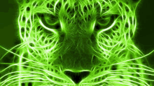 a close up of a glowing green leopard 's face on a black background .