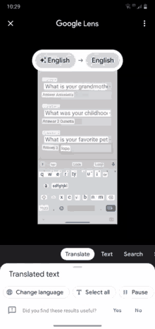 a screenshot of the google lens app on a cell phone