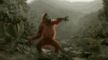 a monkey is standing in the middle of a jungle .