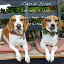 two dogs are laying on a bench with a quote that says `` dogs do speak but only to those who know how to listen ''