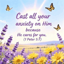 a picture of a field of flowers with a quote from 1 peter 5 7