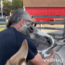 a man is petting a donkey in front of a red barn and the words viralhog are on the bottom