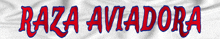 the word raza aviadora is written in red and blue on a white background