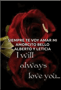 a red rose with the words siempre te voy amar mi amorcito bello alberto y leticia i will always love you written on it