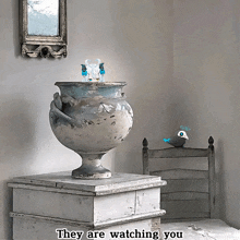 a picture of a vase with the words they are watching you