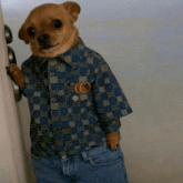 a small dog wearing a gucci shirt stands next to a door