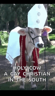a cow is dressed up as a gay christian in the south