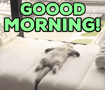 a picture of a cat laying on a bed with the words good morning above it