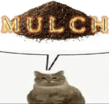 a cat is sitting next to a pile of mulch and a speech bubble .