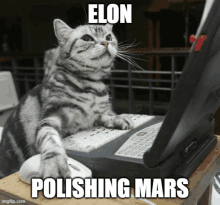 a cat sitting in front of a laptop with elon polishing mars written on it