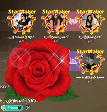 a red rose is surrounded by a row of star makers