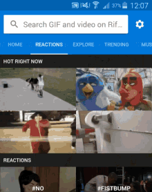 a screen shot of a gif and video search on rif