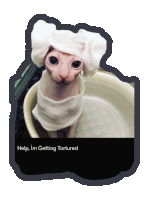 a sticker of a hairless cat with a towel on its head and the words help im getting tortured below it