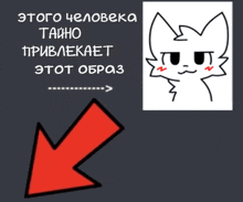 a red arrow pointing to a picture of a cat