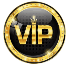 a gold circle with the word vip in it