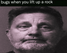 a man with a beard is looking at the camera with a caption that says bugs when you lift up a rock