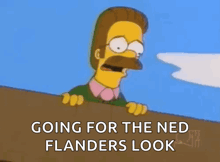a cartoon character with a mustache says going for the ned flanders look .