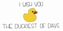 a picture of a rubber duck with the words i wish you the duckiest of days