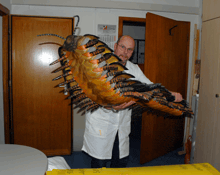 a man in a white coat is holding a giant bug in front of a calendar that shows the month of march