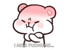 a cartoon of a teddy bear with the words i miss pudnums on the bottom