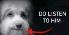 a picture of a dog with the words " do listen to him " next to it