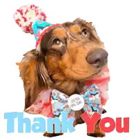 a dachshund wearing a party hat and bow tie with the words thank you behind it