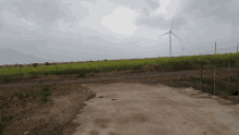 a wind turbine is in the middle of a field