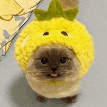 a cat wearing a yellow hat with a green crown on top of it .