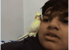 a boy with a parrot on his head looks at the camera