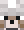 a close up of a minecraft character 's face with a white hat .