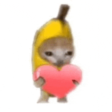 a cat is wearing a banana hat and holding a pink heart .