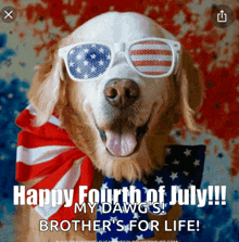 a dog wearing sunglasses and a scarf says happy fourth of july my dawgs brother 's for life