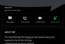 a screenshot of a wipecats page with a message and voice call options