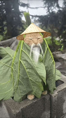 a cat with a hat and a beard is wrapped in leaves