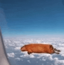 a cow is flying through the air in a cartoon .