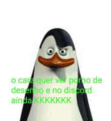 a picture of a penguin with a caption that says o cara quer ver porno de desenho e no discord ainda kkkk