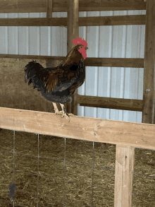 a rooster is standing on a wooden fence